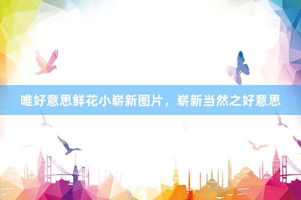 唯好意思鲜花小崭新图片，崭新当然之好意思